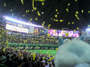 20100513-08.jpg
