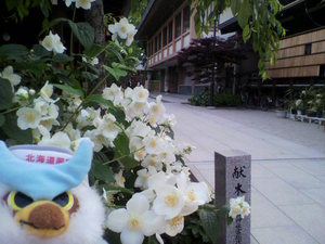 20100513-15.jpg