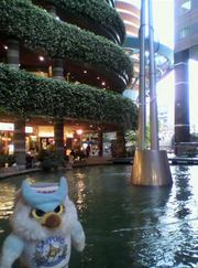 20100513-16.jpg