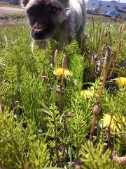 20100525-03.jpg