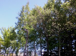 20100604-00.jpg