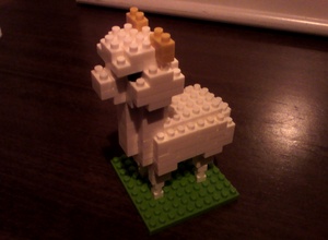 20100608-01.jpg