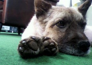 20100608-02.jpg