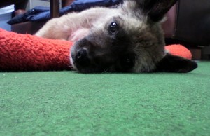 20100621-01.jpg