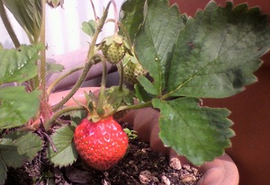 20100701-00.jpg
