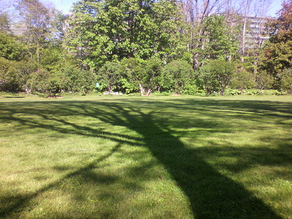 20100711-03.jpg