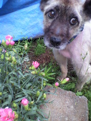 20100716-03.jpg