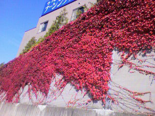 20101103-02.jpg