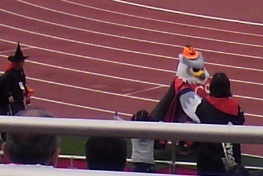 20101103-14.jpg