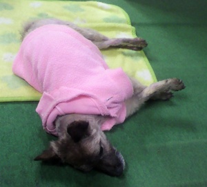 20101103-23.jpg