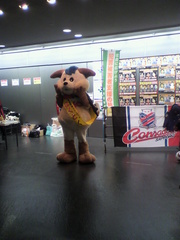20101113-03.jpg
