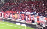 20101127-14.jpg
