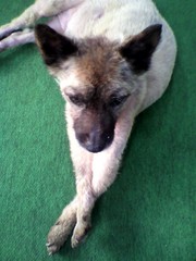 20101202-02.jpg