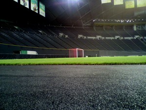 20101210-11.jpg