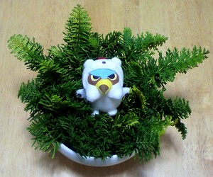 20101220-00.jpg