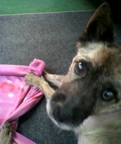 20101223-00.jpg