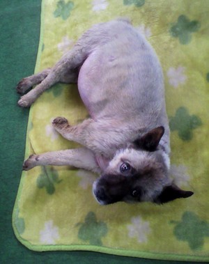 20110112-01.jpg