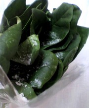 20110112-03.jpg