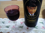 20110113-06.jpg