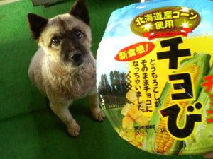 20110121-00.jpg