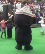20110121-04.jpg