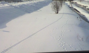 20110211-02.jpg
