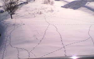 20110211-03.jpg