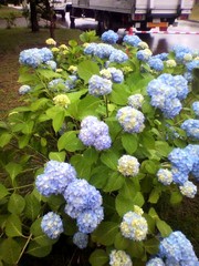 20110720-03.jpg
