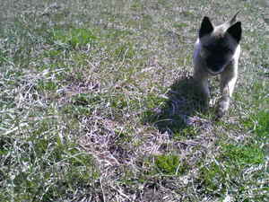 20110921-00.jpg