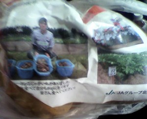 20110923-03.jpg