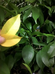20111005-00.jpg