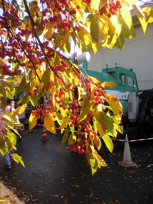 20111019-02.jpg