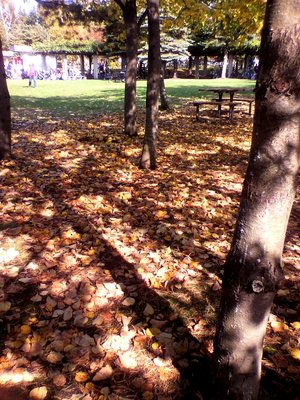 20111019-03.jpg