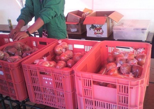 20111019-10.jpg