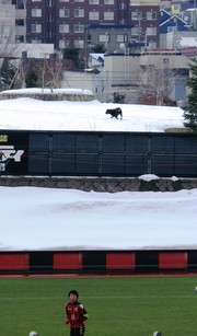 20120424-00.jpg