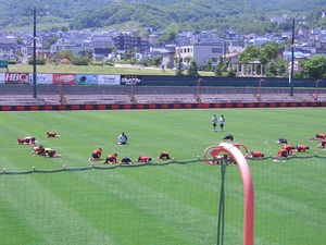 20080623-03.JPG