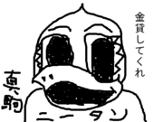 にーたん。