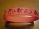 20100331-01.jpg