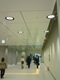 20100506-02.jpg