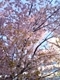 20100515-00.jpg