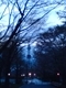 20100515-01.jpg