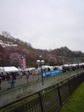 20100517-01.jpg