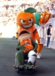 20100609-02.jpg