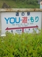 20100614-01.jpg