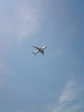 20100614-07.jpg