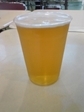 20100627-02.jpg