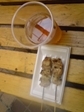 20100801-01.jpg
