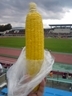 20100907-03.jpg
