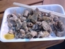 20100918-03.jpg