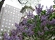 20100929-00.jpg
